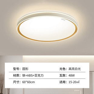 Opal lighting living room ceiling lamp 2024 new led modern simple atmosphere master bedroom whole house package lamps