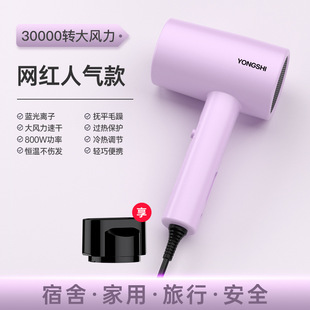 Hotel B & B Apartment Business Dormitory Student Electric Hair Dryer Wholesale Festival Gift Size Power Hair Dryer