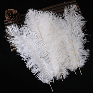 Factory direct diy color ostrich feather 30-35cm wedding stage decoration atmosphere lighting floral design