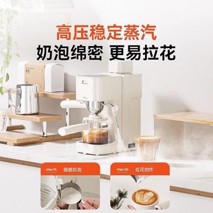 Hua Xunshi 2006 American Italian Semi-automatic Coffee Machine Home Office Small Concentrated One Steam Type
