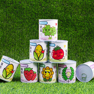 Internet Celebrity Canned Potted Green Plants Tomato Strawberry Seeds Small Flower Farmer Canned Small Potted Kidsren's Handmade Gifts