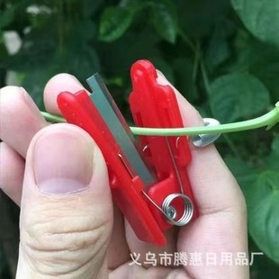 Сбор маленьких ножей, пальцы, кольцо, нож, огурец