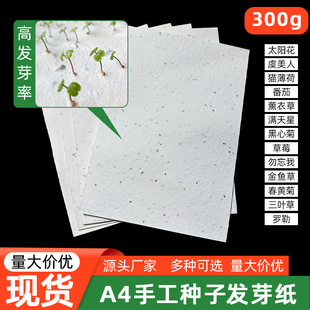 A4 manual seed germination paper spot sales Special paper bulk planting paper 300 grams of paper blank seed paper