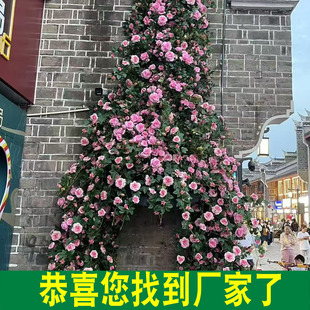 Simulation Rose Fake Flower Rattan Green Plant Plastic Vine Bionic Shopping Mall Window Decoration Landscape Strip Wholesale