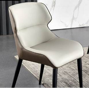 Dining Chair Home Light Luxury Iron Backrest Chair Modern Simple Dining Table Chair Hotel Apartment Chair Wholesale Soft Bag Chair