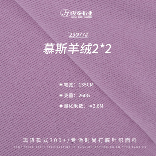 Mousse Cashmere 260g 300g Polyester Cotton Blend Double-sided Brushed High Elasticity Thick Warm 2*2 Rib Fabric in Stock