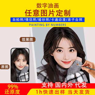 [Customized] DIY Digital Oil Painting Wholesale Cross-Border Export Amazon Agent Character Photo Hand-Painted Decorative Painting