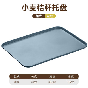 Nordic Rectangular Plate Cup Plastic Tray ins Style Home Dining Canteen Hotel Restaurant Plate Wholesale