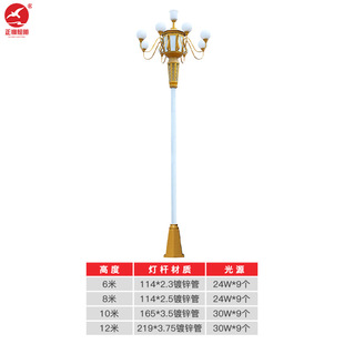 Chinese lamp 6 meters 8 meters 10 meters medium and high pole square municipal street lamp Magnolia lamp combination landscape lamp Chinese lamp customization