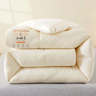 Class A raw cotton soybean fiber thickened winter quilt spring and autumn quilt quilt soybean quilt core gift wholesale