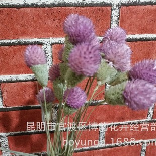 [Клубничный цветок] Юньнань сушеные цветы оптом искусственный цветок сушеный цветок цветочное искусство