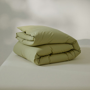 100s Xinjiang Long-staple Cotton Cotton Sanding Quilt Cover Winter Warm Quilt Cover Solid Color Simple Single Double Quilt
