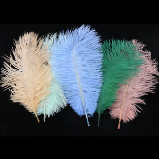 Factory wholesale 20-25cm color ostrich feather net red wall decoration ostrich feather wedding decoration feather