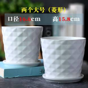 Simple Flower Pot Ceramic Special Sale Clearance Large Medium Size with Tray Distinctive Home Green Diet Chlorophytum Fleshy Small Flower Pot