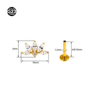Cross-border Hot Sale F136 Titanium Alloy Flower Crown Lip Nail Ear Bone Nail Ear Snail No Allergy Puncture Jewelry Explosions
