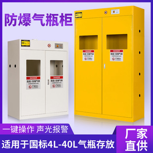 Laboratory intelligent alarm gas cylinder cabinet all-steel explosion-proof acetylene gas tank storage cabinet gas safety cabinet gas cylinder cabinet