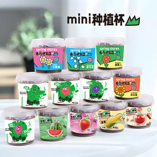 Mini Planting Cup Fruit Plant Desktop Planting Small Potted Plant Home Office Easy to Grow Seeds Planting Potted Plant