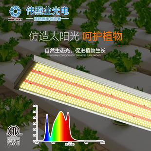 LED plant growth light high power full spectrum greenhouse flower fill light plant lighting wholesale