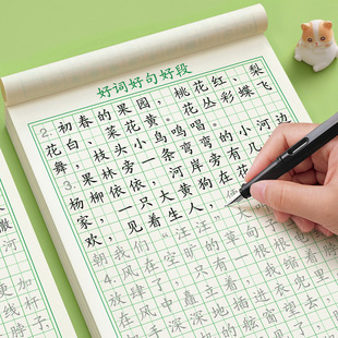 Good Words, Good Sentences, Good Section Accumulation Copybook, Special Practice Copybook for Primary School Students, Beautiful Sentences, Complete Fountain Pen, Daily Practice