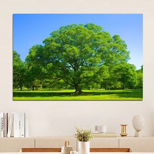 Green Trees Big Trees Landscape Painting Simple Living Room Dining Room Decorative Painting Forest Grass Natural Scenery Dormitory Study Mural