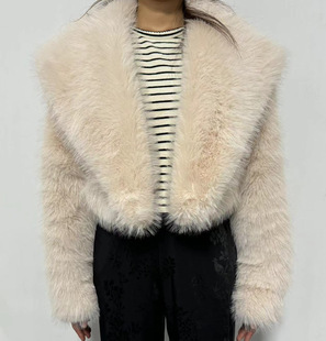 2024 European and American new imitation fur short coat fashion Joker fur coat women's long sleeve in stock wholesale