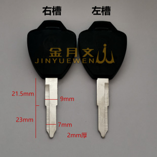 P42 for Green Electric Car Left and Right Slot Key Embryo