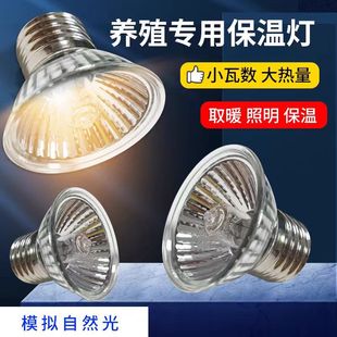 in stock Free Shipping Tortoise Sun Back Bulb Full Spectrum Sun Lamp Climbing Pet Tortoise Cans Special Calcium Heating Heat Preservation Bulb