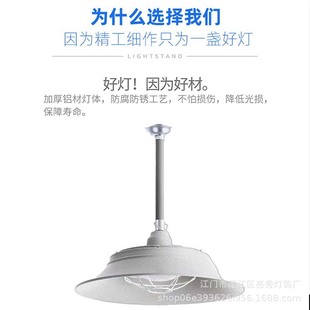led explosion-proof lamp mining lamp workshop warehouse chandelier waterproof anti-corrosion ceiling three-proof lamp 200W explosion-proof lamp