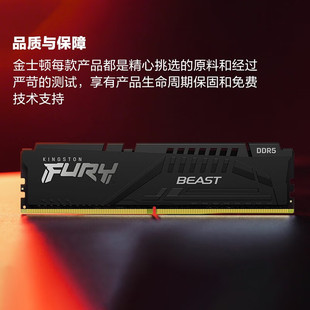 Применимо для Kingston 16G/32G DDR5 5600 FURY Beast Desktop Файл Hacker