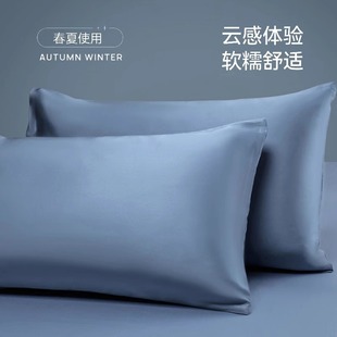 Summer Cool Tencel Pillow Case Pair Pack 48x 74 Household Pillow Case Ice Silk Washed Silk Pillow Inner Pillow Cover