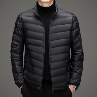 2024 New Men's Charge Clothes Take-off Liner Down Jacket Business Casual Middle-aged and Elderly Warm Jacket