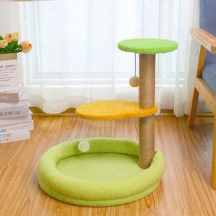 Сизаль кошачий лазает на кошачьем гнезде