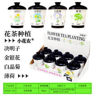 Fun Planting for Small Flower Farmers, Plant Growth Observation, Emotionally Stable Potted Plants, Fun Gifts from the Manufacturer