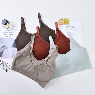 2024 Explosions Bear Fairy Thread Wrap Breast Tube without Steel Ring Beauty Back Adjustable Women's Sports Underwear