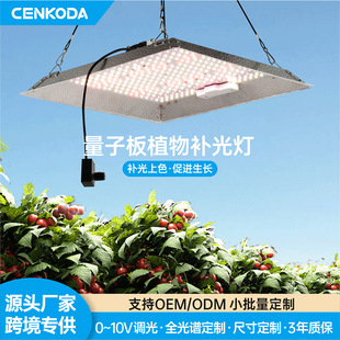 Cross-border e-commerce hot sheet metal cover LED plant fill light dimmable 100W rainproof plant growth light