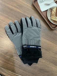 Japanese Men's Outdoor Ski Gloves Women's Winter fleece-lined Warm-Keeping Cold and Windproof Electric Bicycle Touchscreen Couple