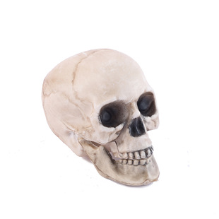 Halloween Simulation Skull Haunted House Props Decorative Skull Jewelry Bar Decorative Ornaments Skull