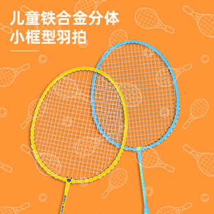 Deli Angnette F2135 children's badminton racket double racket beginner parent-child entertainment toy feather racket with 3 balls