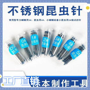 Manufacturer Beetle Fixed Needle Wholesale Wings Butterfly Needle Specimen Needle Moth Positioning Stainless Steel Insect Insect Needle Cicada