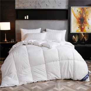 Thickened warm winter quilt solid color double down velvet spring and autumn quilt core gift quilt wholesale Amazon cross-border