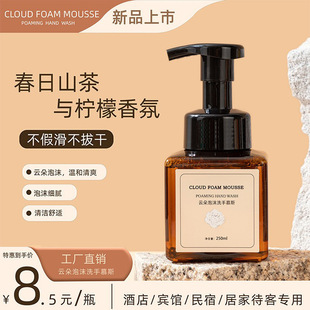 250ml spring camellia and lemon fragrance cloud foam mousse hand sanitizer hotel home factory wholesale