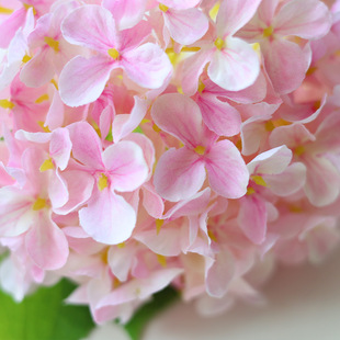 Artificial Flower Short Branches Fresh Hydrangea High-grade Multicolor Silk Flower Artificial Flower Wedding Flower Home Soft Fake Flower