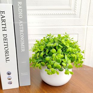 Simulation green plant potted small ornaments home living room plant ornaments cross-border Christmas decoration wholesale crafts