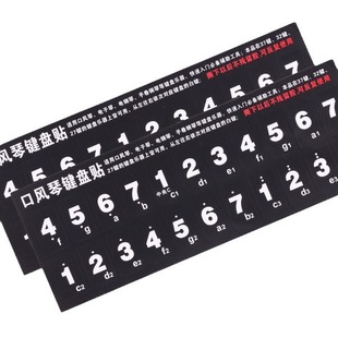 Organ Keyboard Sticker Stickers 37 Keys 32 Keys 27 Keys Keyboard Stickers Sound Phonetic Notes