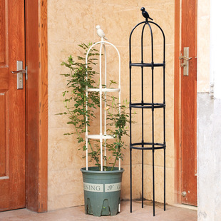 Spliced Plant Climbing Stand Outdoor Iron Flower Stand European Style Flower Stand Climbing Vine Flower Stand Amazon Supply