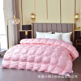 Pure Cotton Down Quilt White Goose Down Quilt Spring and Autumn Warm Winter Quilt Duck Quilt Thickened Quilt Core Single Double Quilt Core