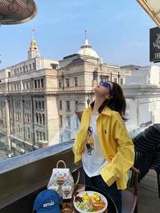 Pony Embroidered Yellow Shirt Women's Spring and Autumn 2025 New Ins Styish Age-reducing Loose Lazy Style Long-sleeved Top