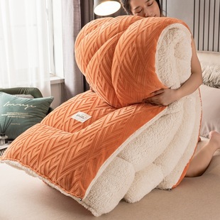 Lamb Velvet Quilt Winter Quilt Thick Warm Quilt Core Winter Single Winter Double Milk Velvet Spring and Autumn Quilt