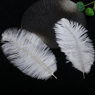 Factory wholesale 20-25cm color ostrich feather net red wall decoration ostrich feather wedding decoration feather