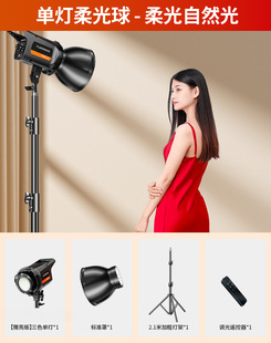 Professional Live fill light anchor special photography light live studio spherical soft light indoor studio lighting equipment